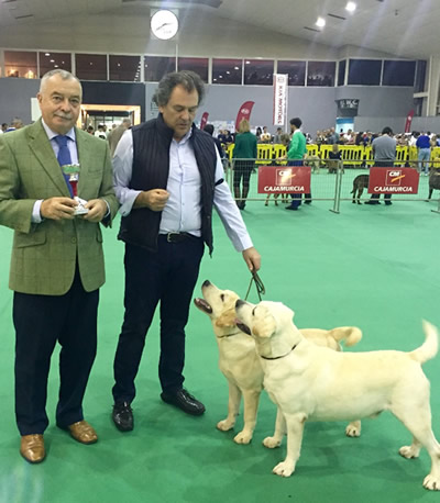 Noticia Exposicion Canina de Torrepacheco - Murcia