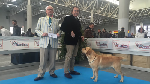 Exposicion Internacional de Valladolid 2016